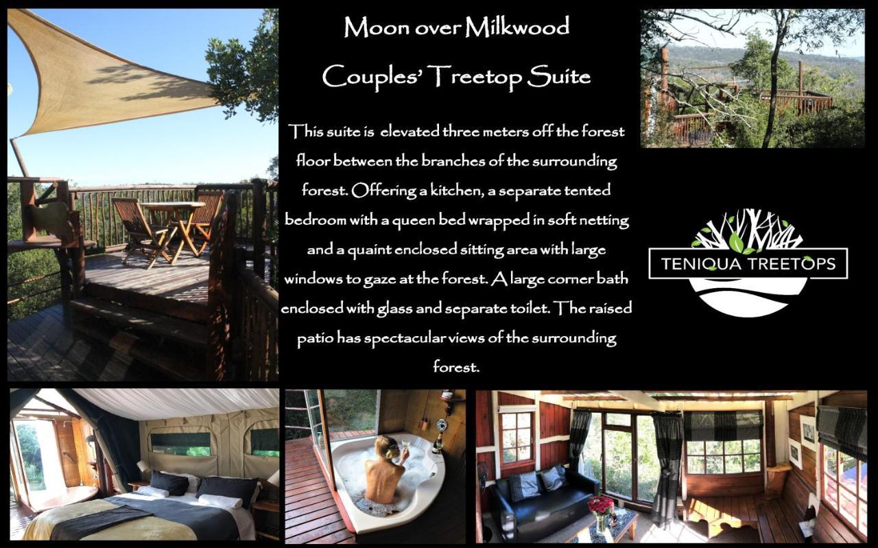 Teniqua Treetops Karatara Settlement Exterior foto