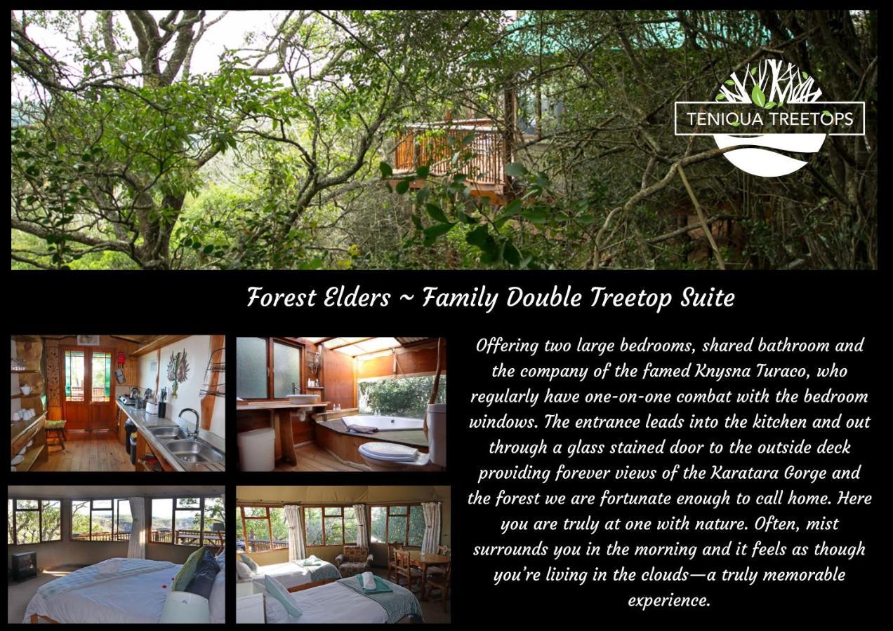 Teniqua Treetops Karatara Settlement Exterior foto