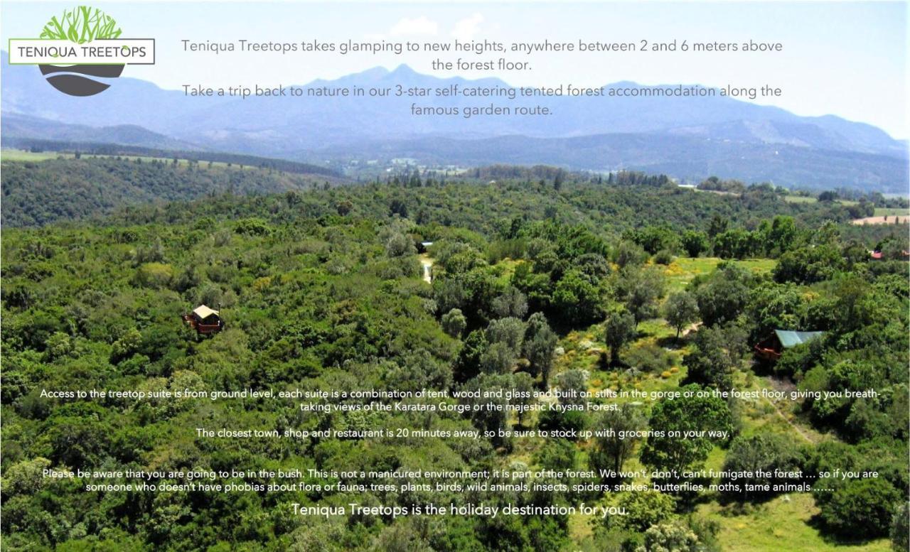 Teniqua Treetops Karatara Settlement Exterior foto