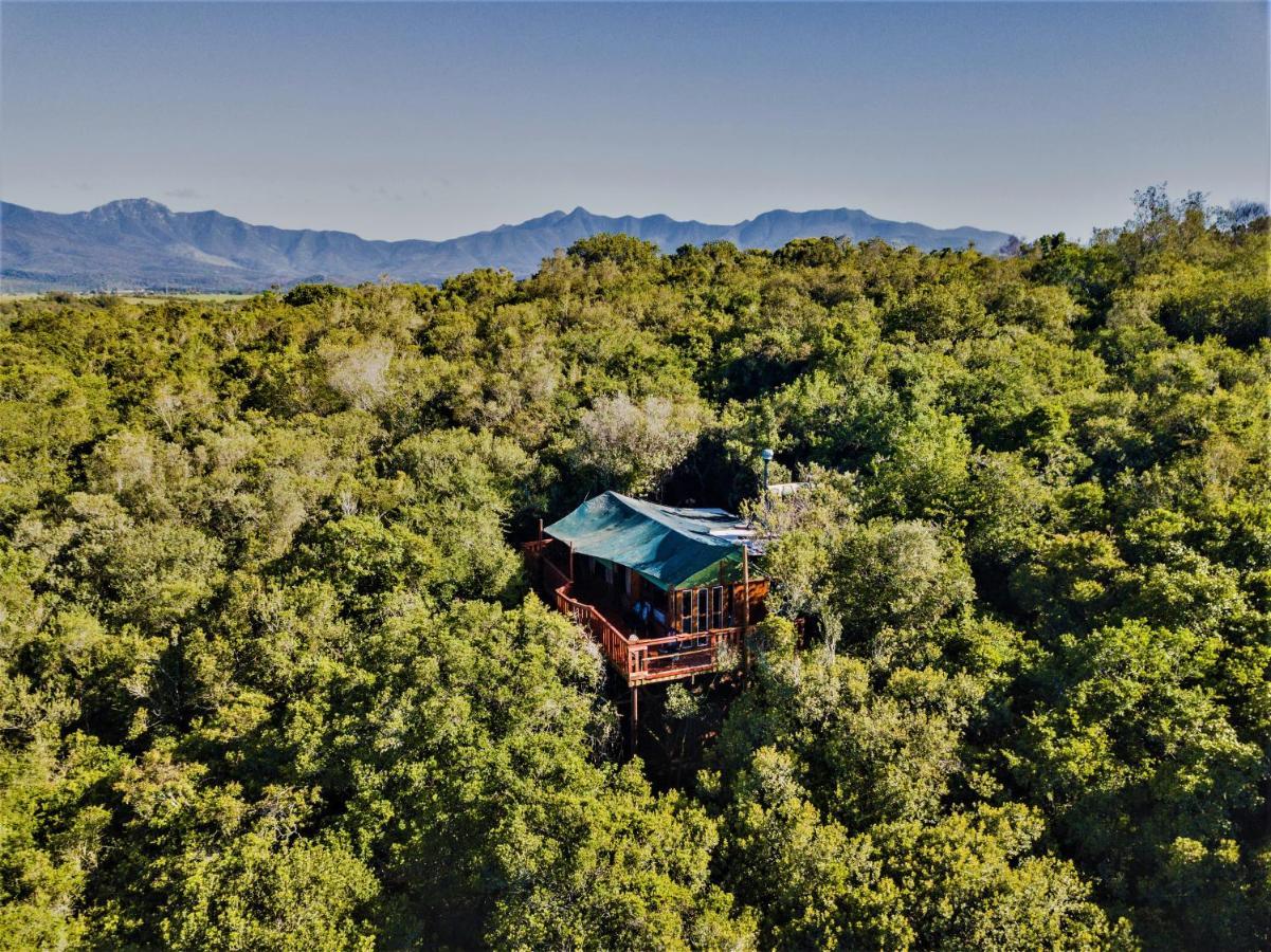 Teniqua Treetops Karatara Settlement Exterior foto