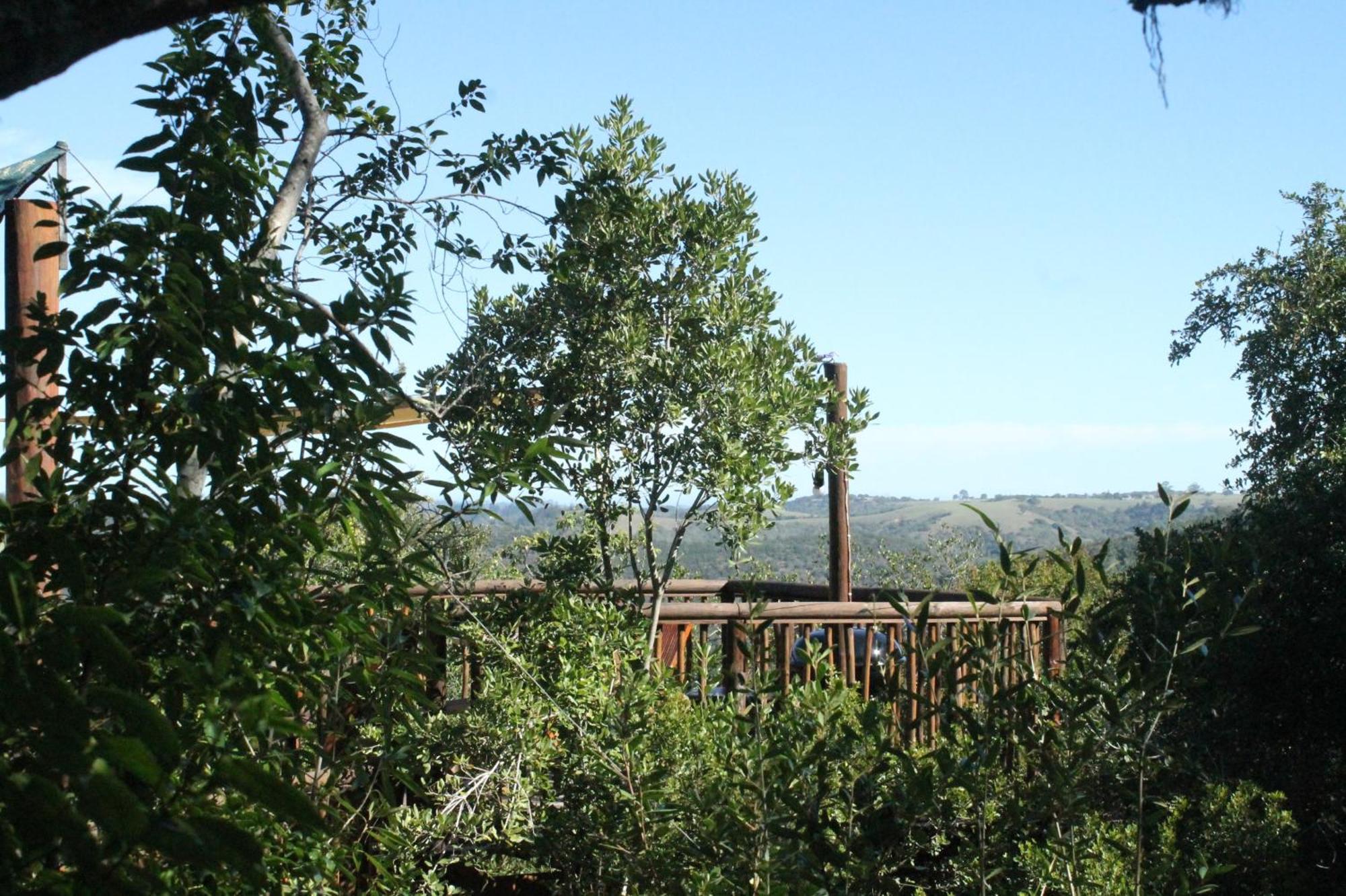 Teniqua Treetops Karatara Settlement Exterior foto