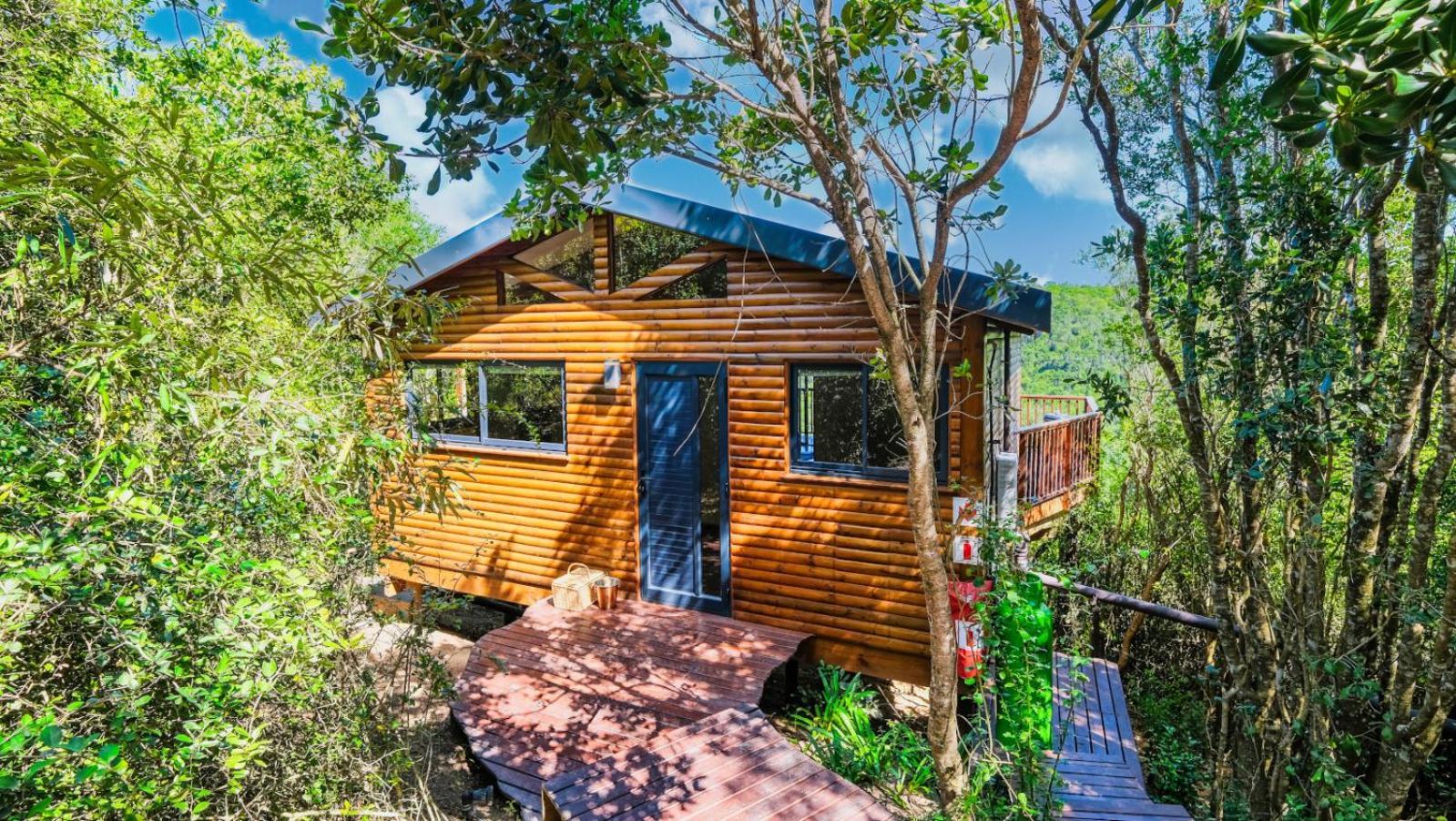 Teniqua Treetops Karatara Settlement Zimmer foto