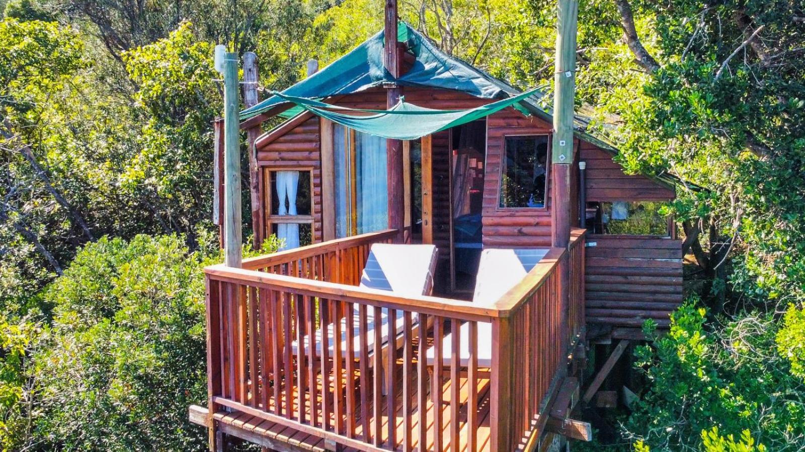 Teniqua Treetops Karatara Settlement Zimmer foto