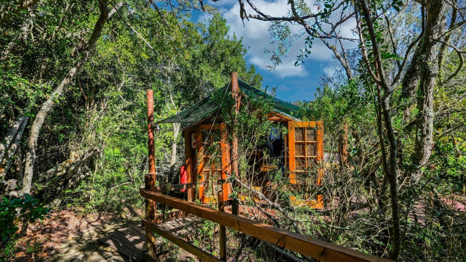 Teniqua Treetops Karatara Settlement Zimmer foto